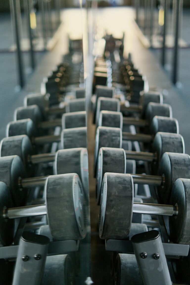 Dumbbells neatly organized on a rack, perfectly mirrored, exemplifying modern gym equipment organization.
