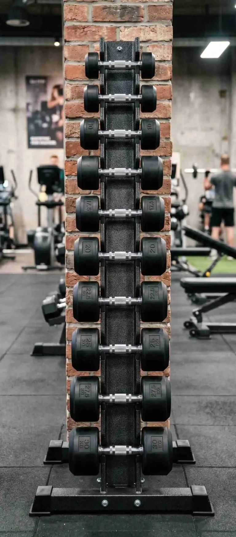 vertical dumbbell rack